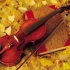 小提琴入门教程 从零起步学小提琴