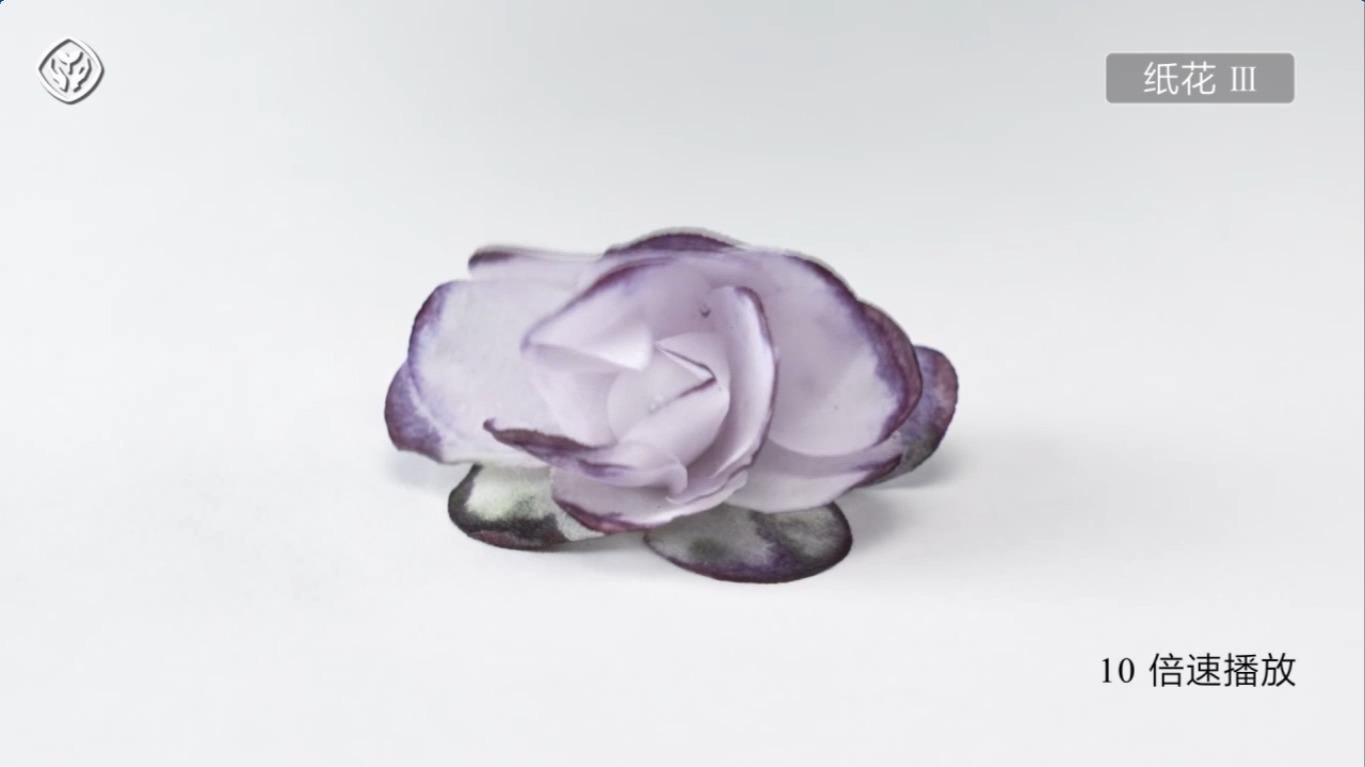 28二氧化碳与水反应