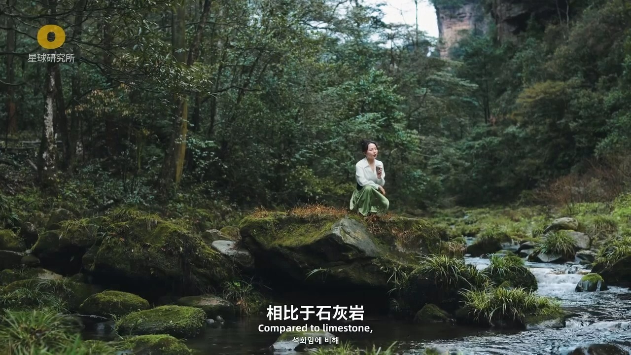 张家界石英砂岩峰林的形成过程（非常生动）