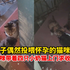 男子偶然投喂怀孕的猫咪后，猫咪带着四只小奶猫上门求收留