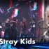 Stray Kids 1.6金唱片 Megaverse+S-Class+Hall of Fame舞台