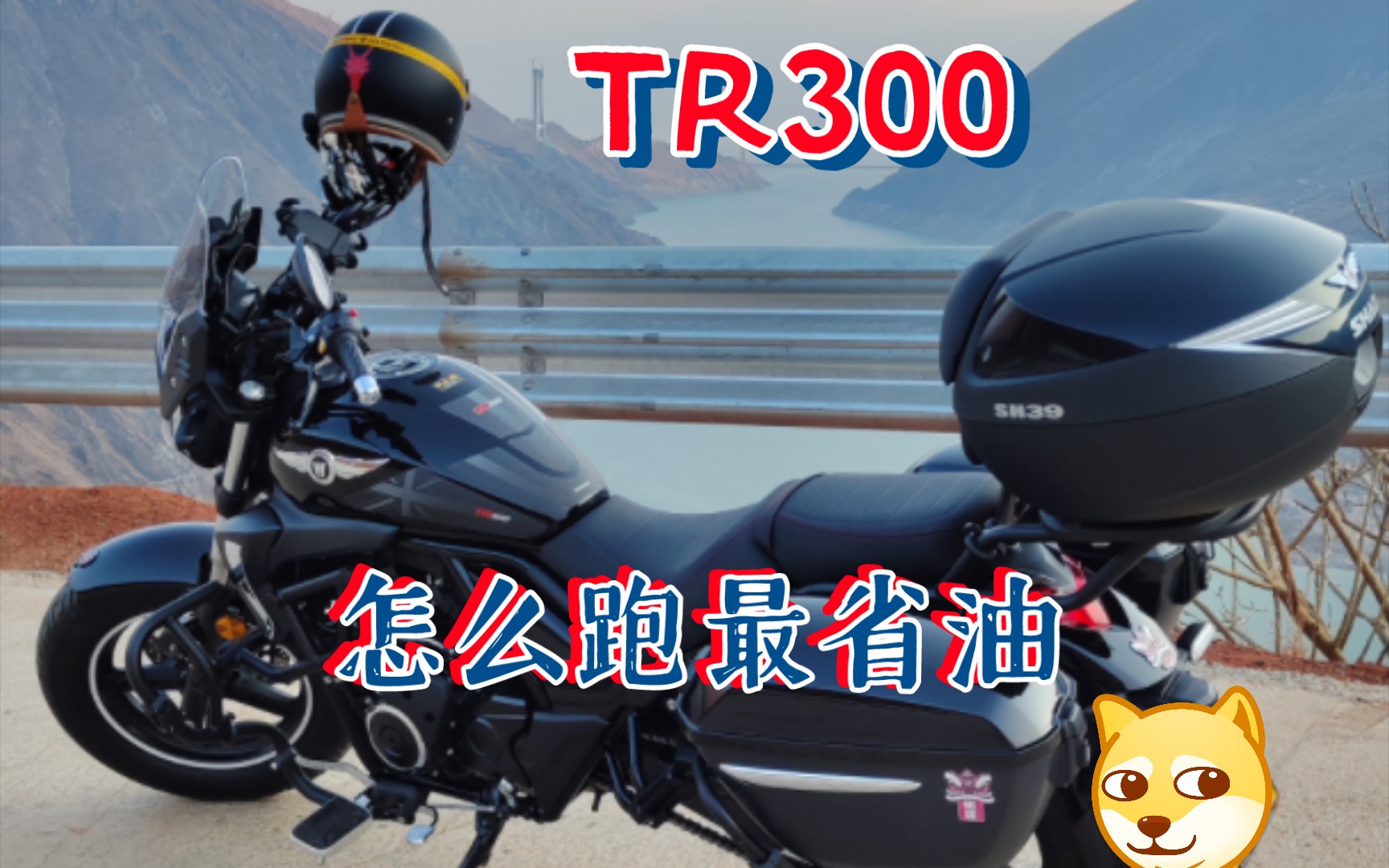 （TR300）省油骑法