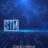 软件测试项目管理系统-STM