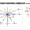 【明明白白心电图】急诊科主任讲解正常心电图及异常心电图（心律失常） 中华护理学会重症专科护士培训