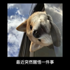 天涯神贴：生活充满了选择，遗憾也不过是常态
