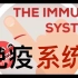 【Kurzgesagt】双语·免疫系统详解：细菌感染 The Immune System Explained I Bac