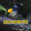刺激！偷窥小鸟混浴