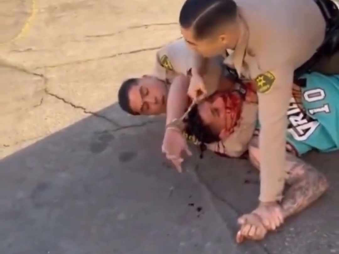 Two officers can't hold down a suspect.