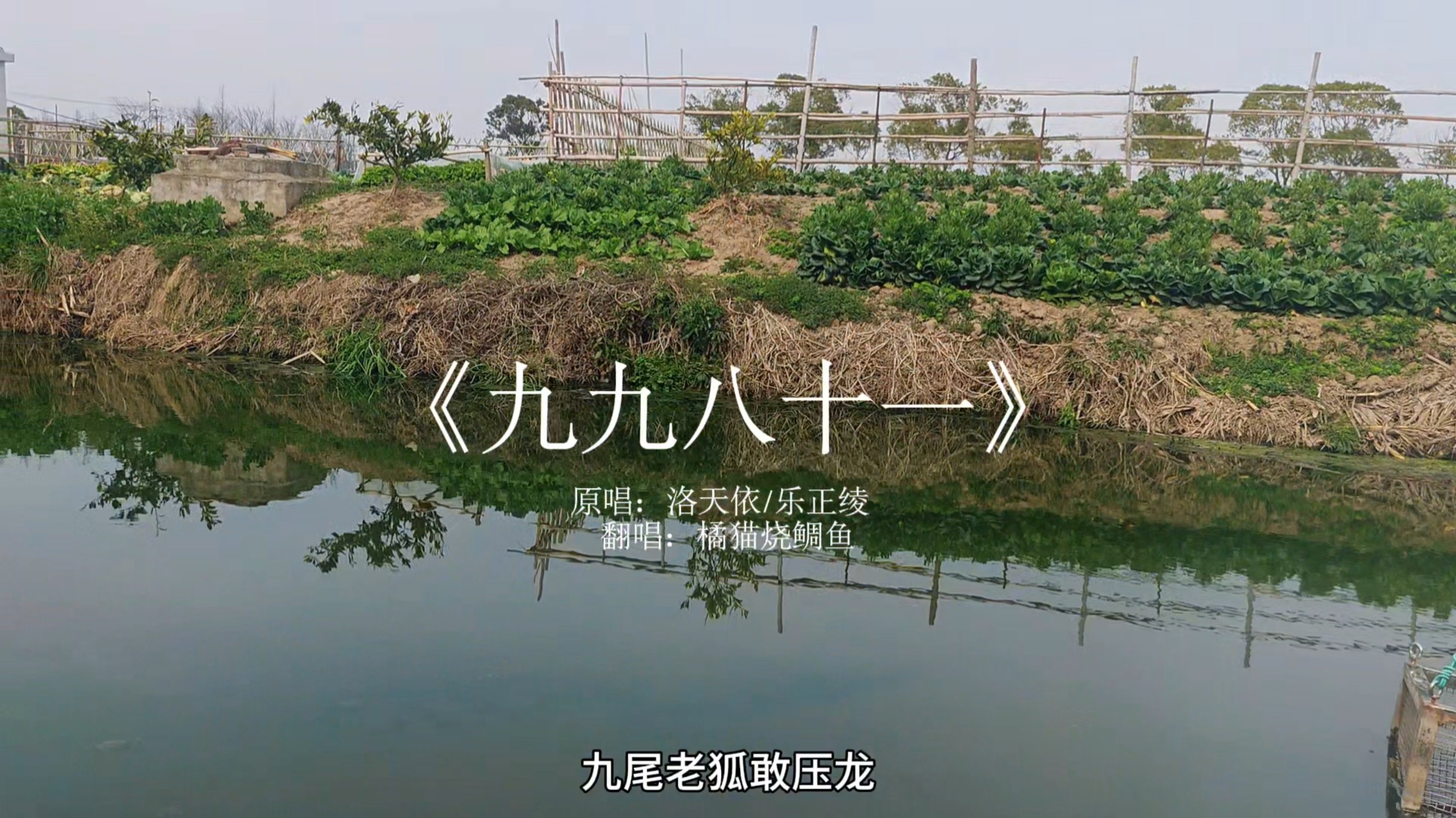 苦海无涯，回头是饭