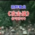 【朝鲜歌曲】-《攻撃戦》（中文字幕）燃曲MV