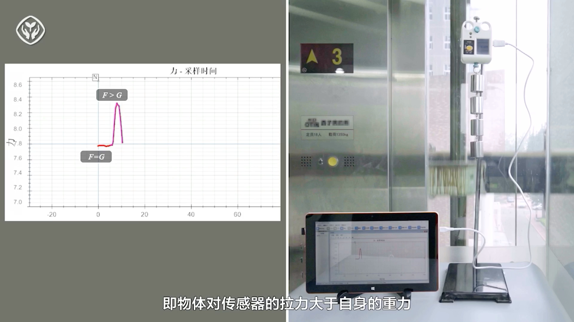 1 2019 bilibili