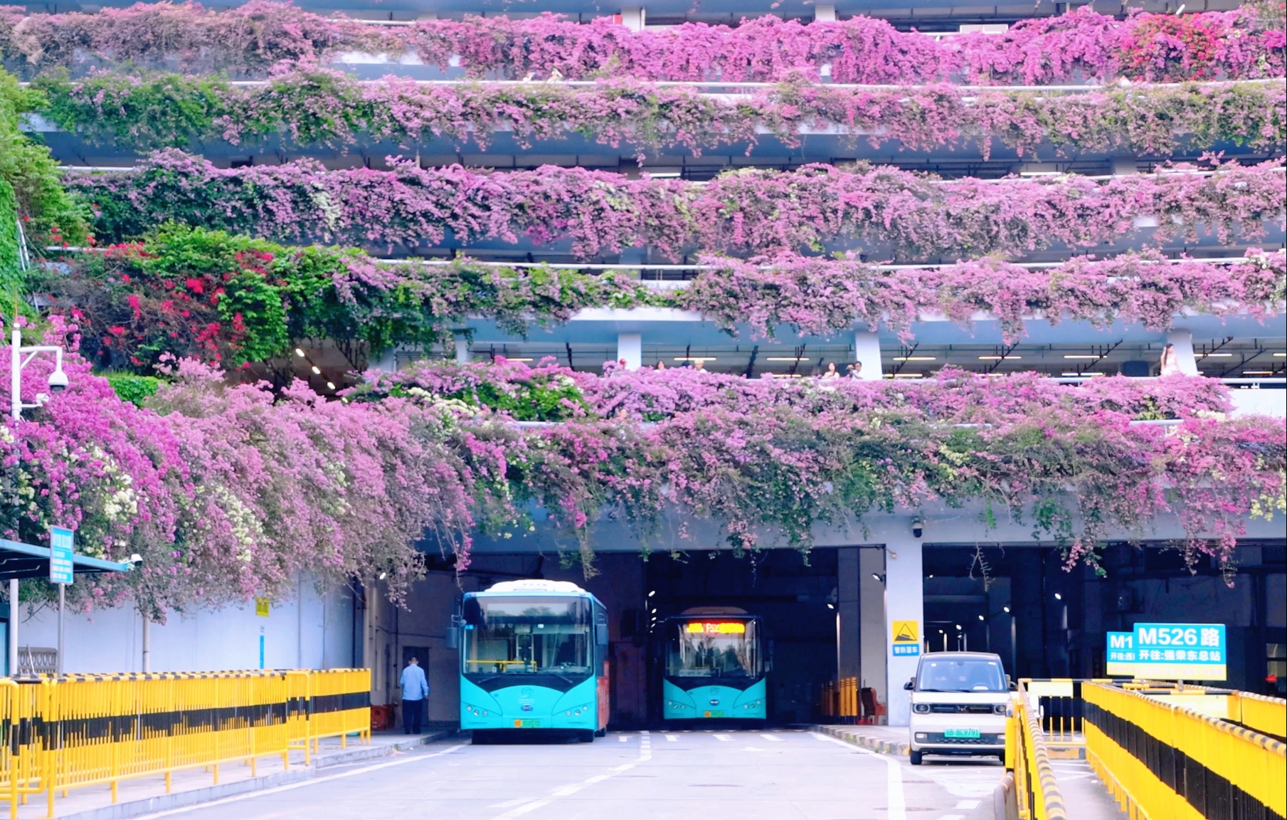 深圳·仙湖植物园 | 感觉这个春天还没逛完，风里已经开始有夏天的味道了……
