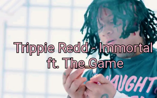 ejendom Baby tidligere Trippie Redd - Immortal ft. The Game-哔哩哔哩