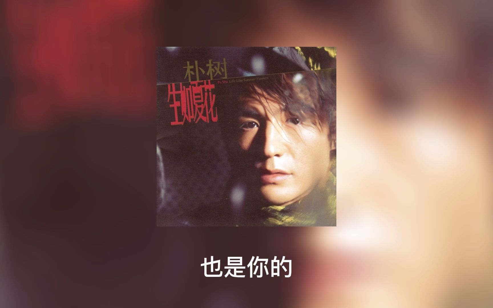 傻子才悲伤-朴树