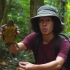 泰国：林间深处拍摄鹰嘴龟 | Platysternon megacephalum | JoCho Sippawat（20