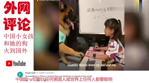 老外看中国中国一只狗拿快递火到国外,YouTube各国网友评论!哔哩哔哩bilibili