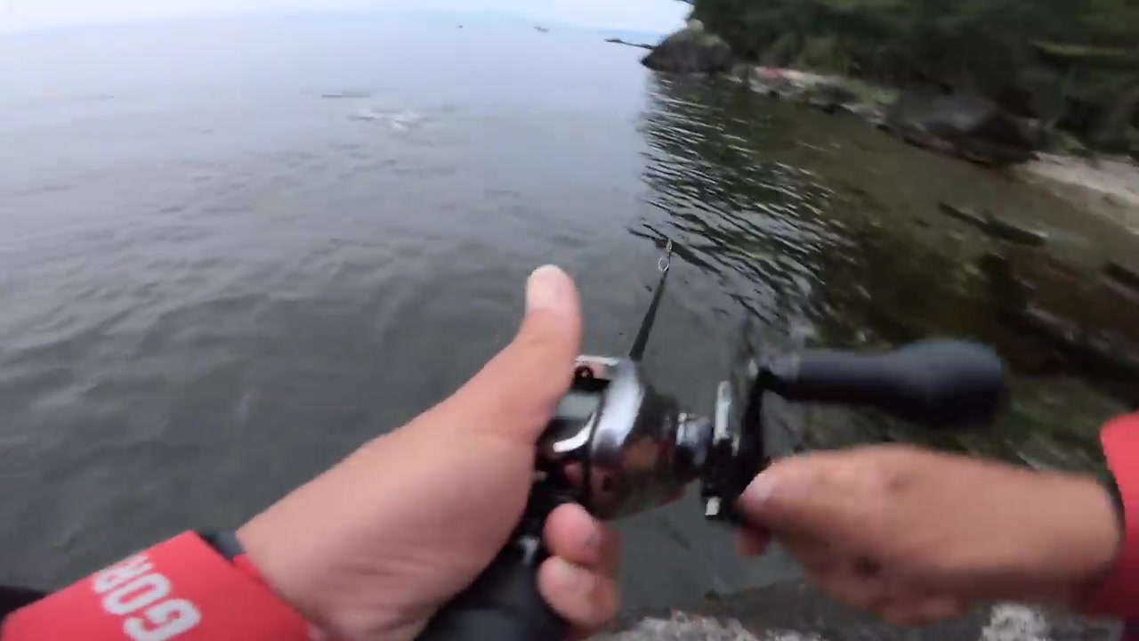 琵琶湖 巨大なブラックバスを狙いに琵琶湖の離島にやって来た ビッグベイトを早巻きするとゴンッと重たい当たりが来た 哔哩哔哩