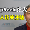 DeepSeek震撼全球，普通人应该关注啥？【清华大学李稻葵