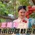中国妯娌邀请乌克兰媳妇去娘家采摘荔枝，洋媳妇被莆田荔枝所震撼