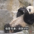 谁说我们熊猫不洗澡的？