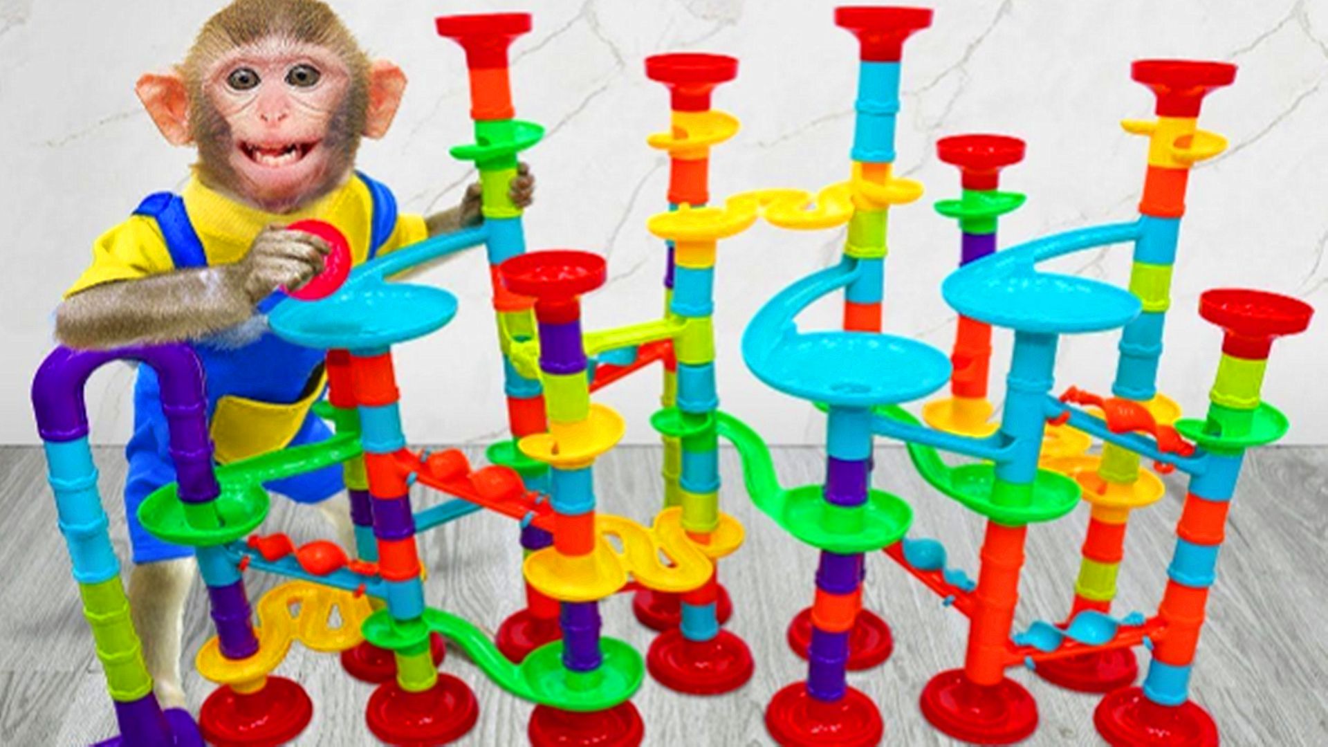 有趣的小猴子：小猴子玩赛车，能夺第一吗？刺激又好玩！
