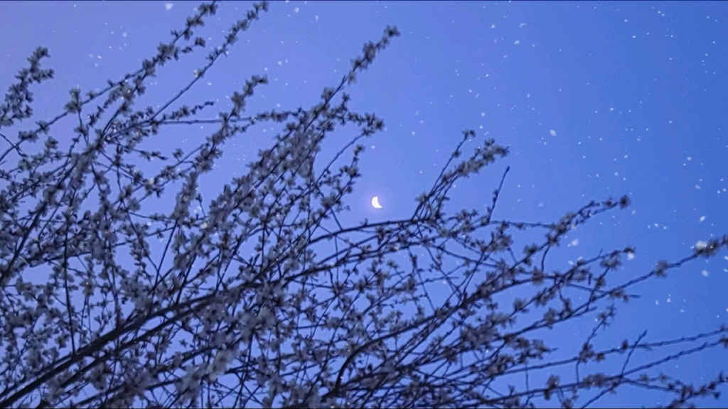 【cv天空】高考给空哥吸氧的空爸，忘记带表求监考老师借表的空哥哈哈哈