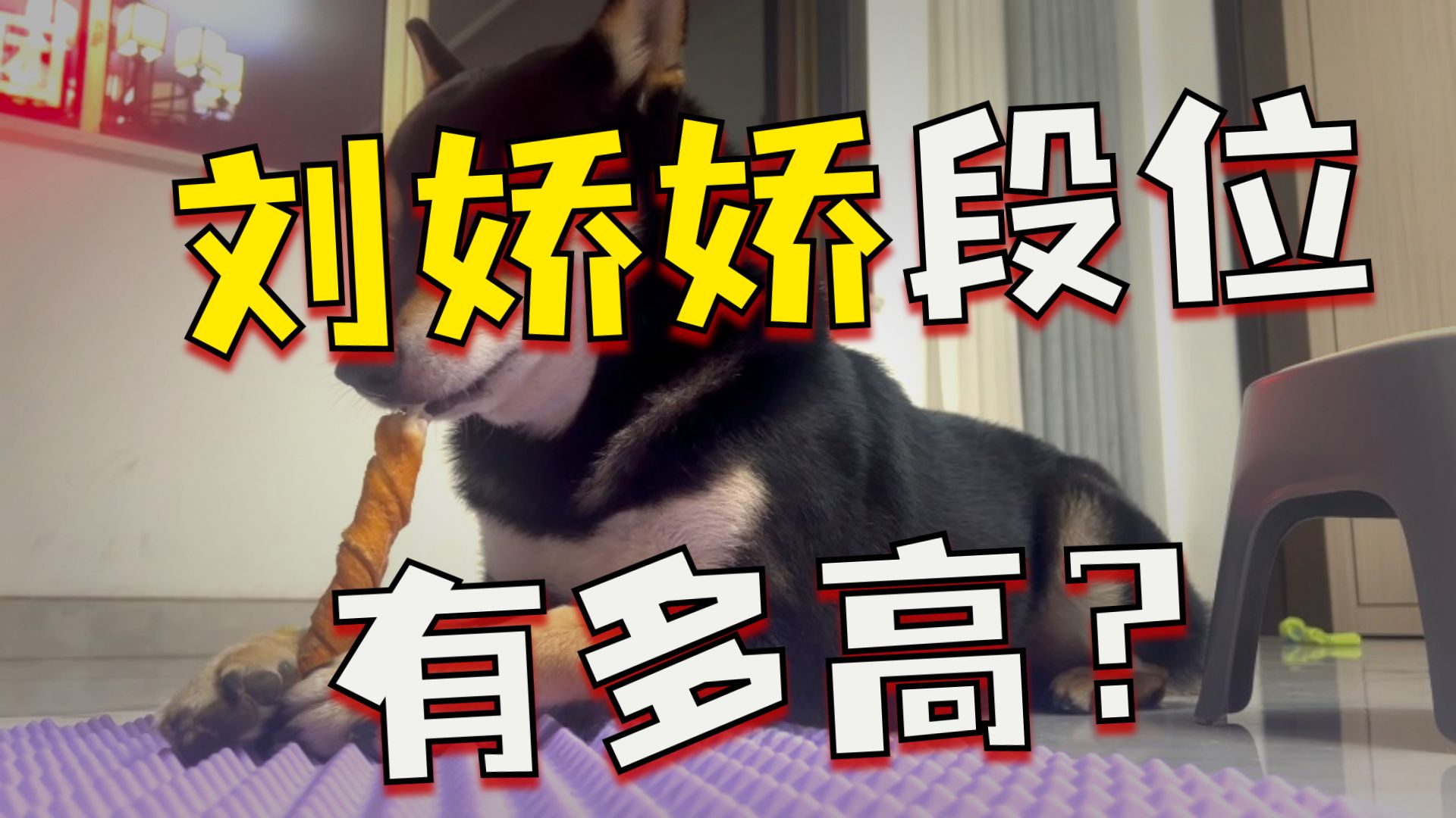 全员恶人！全网最热骂战！杀猪队阵营！深度解析，复盘分拣！！！