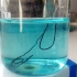绿了！硫酸铜溶液与铁丝发生的置换反应
