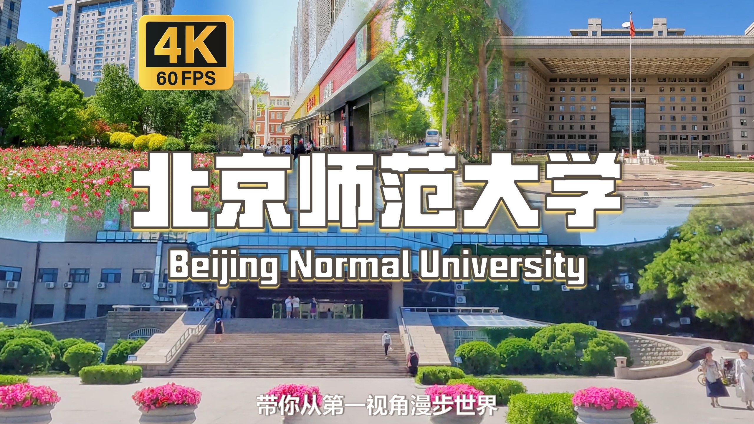 沉浸式漫步在985 211工程 双一流大学 以教师教育为主要特色的学府 附参观攻略 | 【4K60帧】【北京师范大学】白噪音 环境音 POV 云参观大学