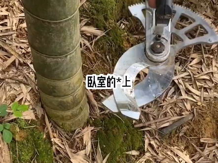 茗《美妙至上》@七猫小说