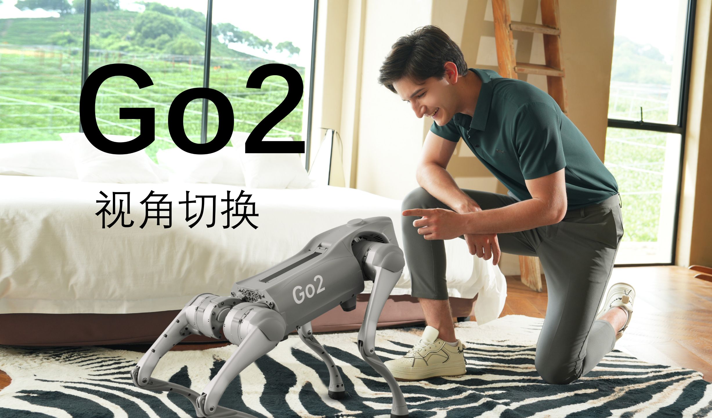 Go2使用教学06-视角切换