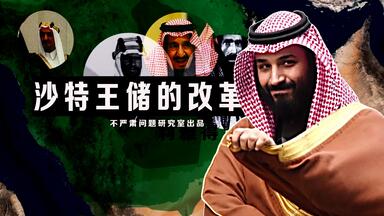 <em class="keyword">沙特</em>魔咒和王储的2030愿景计划