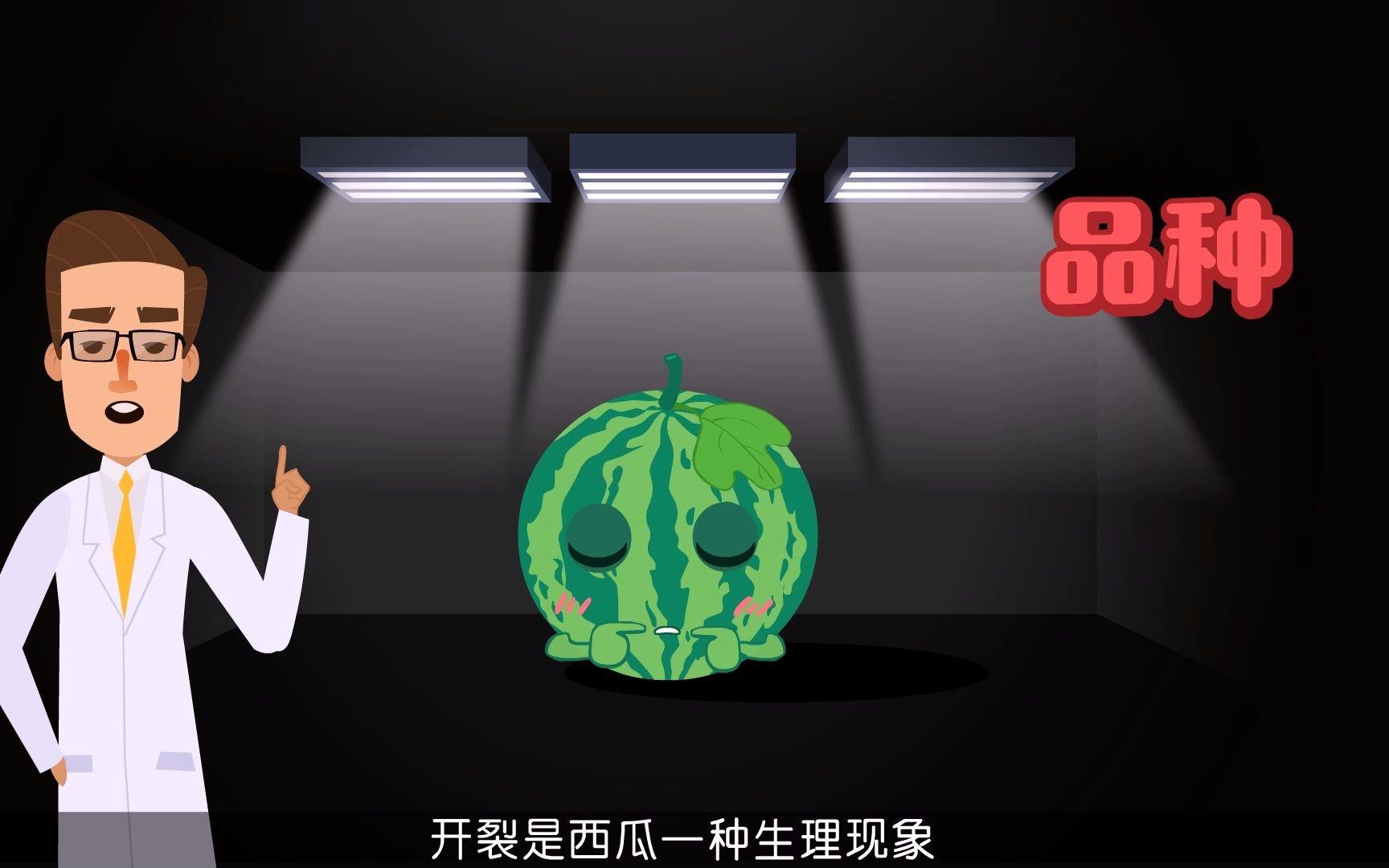 视频5：西瓜爆炸事件，嫌疑人是植物生长调节剂么？