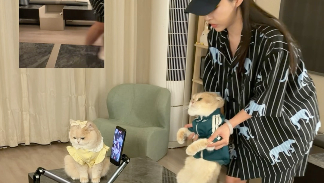 小猫的丝滑走位变装视频原来是这样拍的