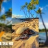 【4K UHD 60FPS 竖屏】竖屏版极清夏威夷自然之景