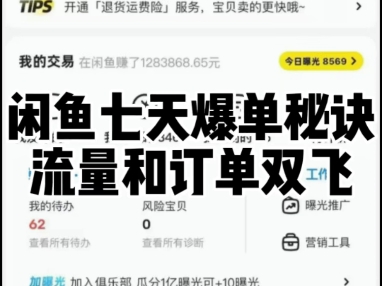 闲鱼七天爆单秘诀流量和订单双飞