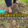 生态种植到底怎样养地？把土地当成你的身体
