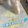 芭蕾的魅力丨 这是在干什么
