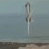 画面直击：SpaceX星舰原型机首次软着陆后又爆炸