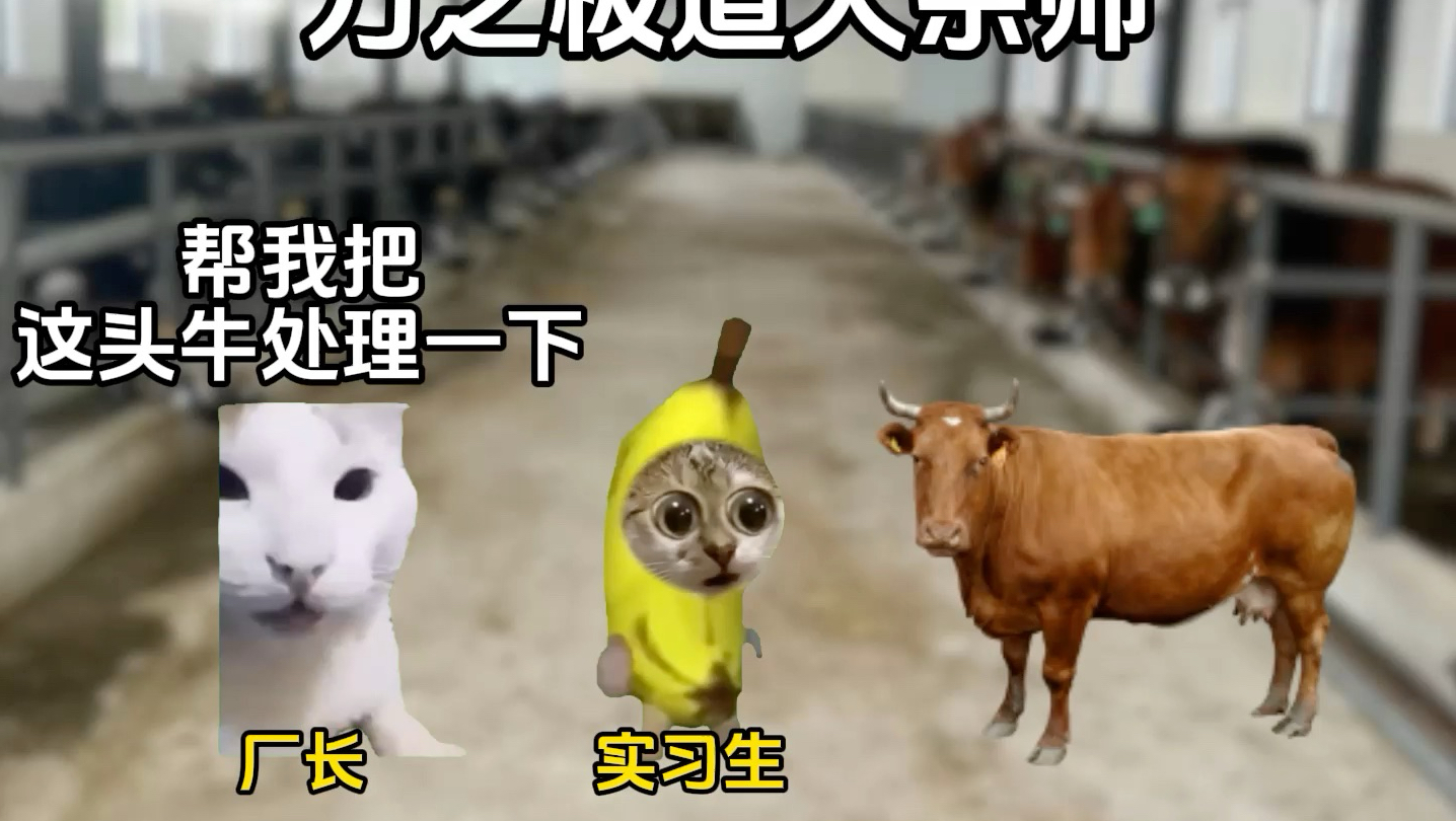 力之极道大宗师