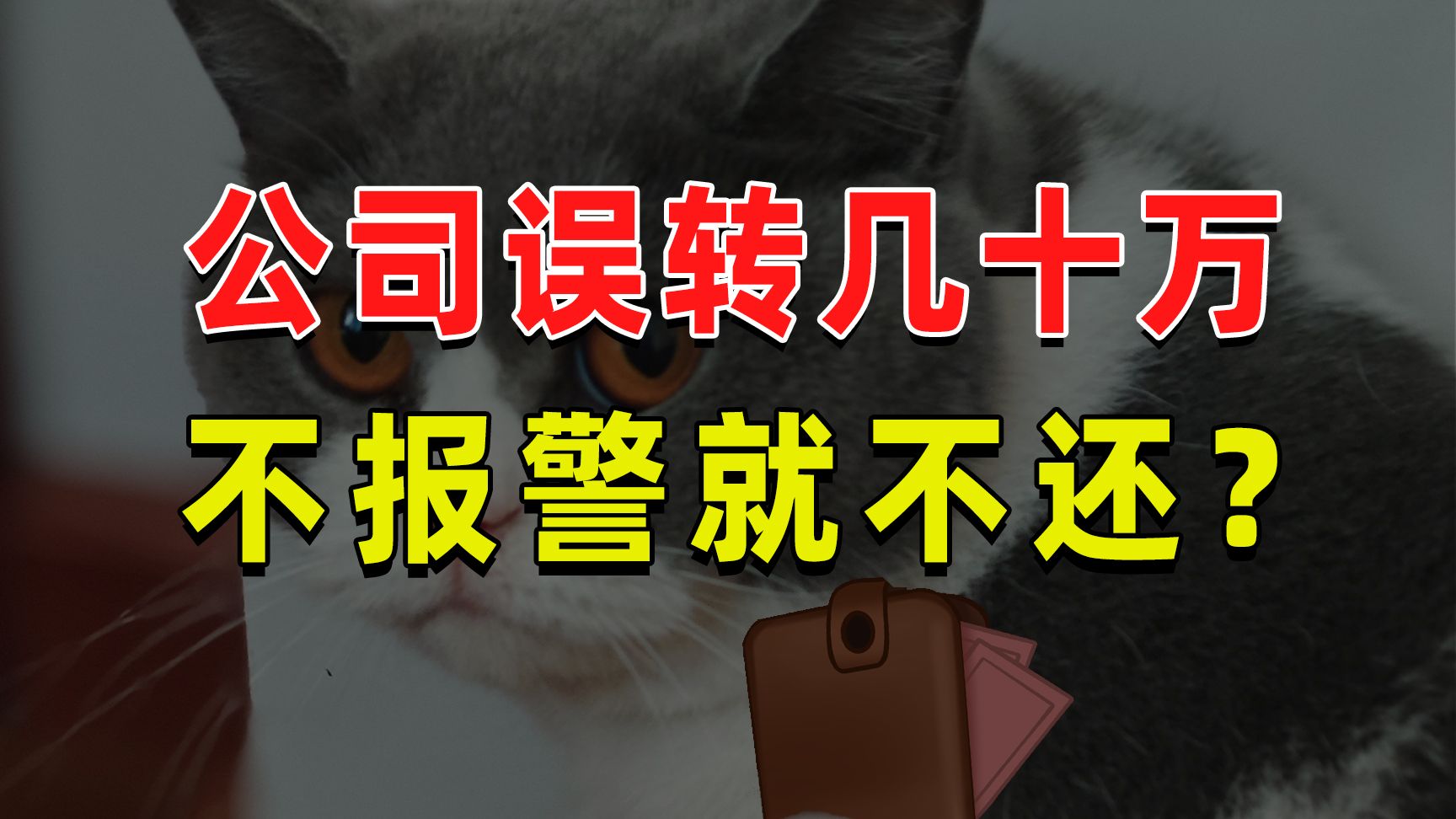 【半佛】公司误转几十万，不报警就不还？