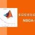 【NSGA2】多目标优化应用案例