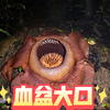 马来西亚雨林探险——大王花