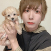 いりぽん先生TikTok合集二