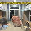 当你开学后发现没回家的舍友