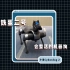 小米Cyberdog 2铁蛋二号：会整活的机器狗