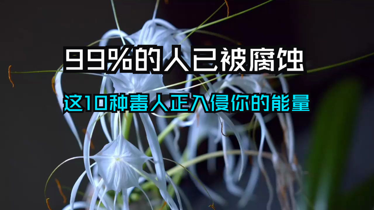 警惕！这10种“能量掠夺者”正在悄悄侵蚀你的磁场！99%的人已被腐蚀，你是幸存者吗？