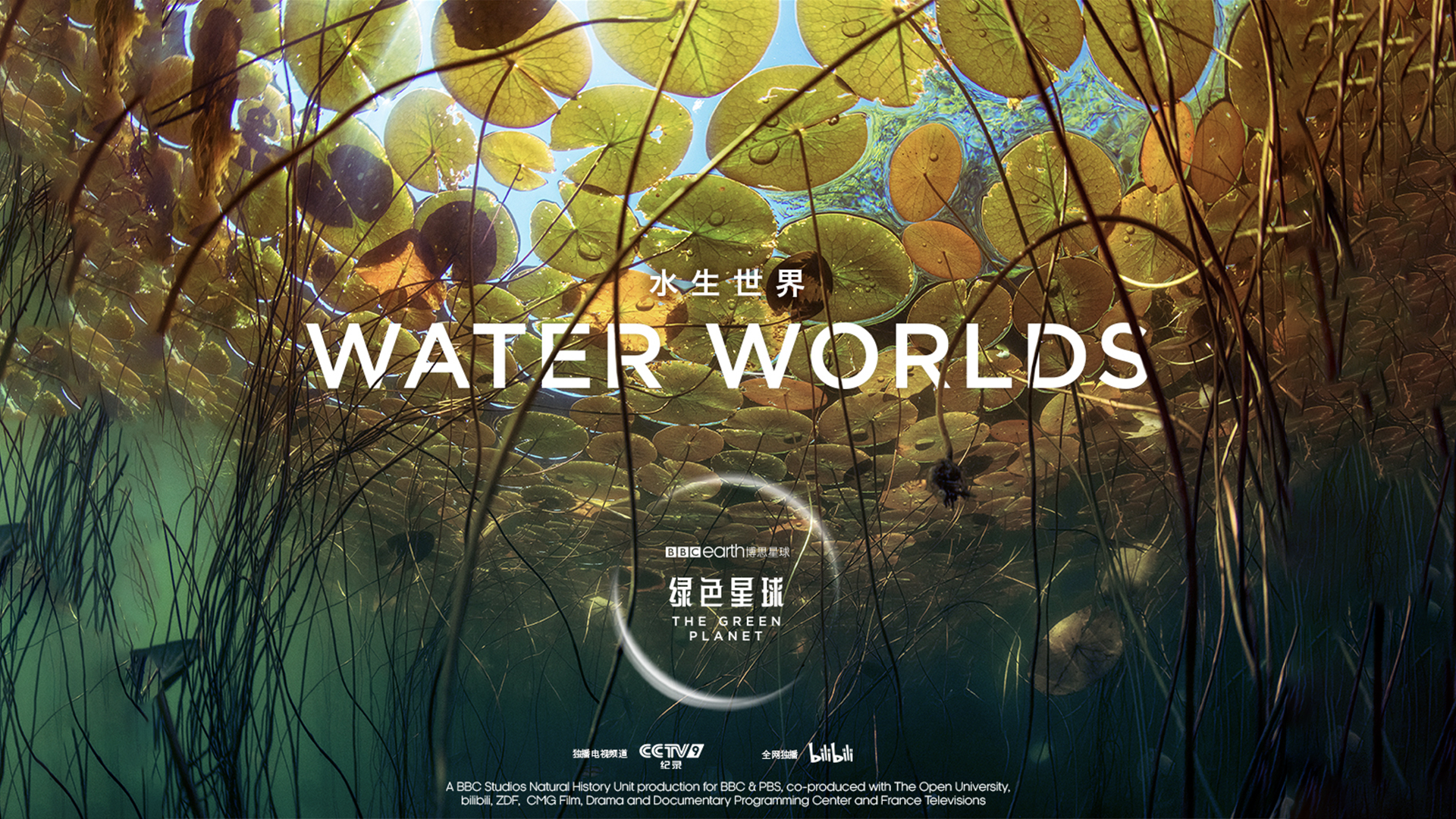 【纪录片】绿色星球（中配版）EP2 水生世界