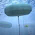 世界上第一台水下海洋发电机，发电不用煤，全程靠浪！