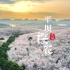 上帝视角4K画质的贵州安顺平坝樱花